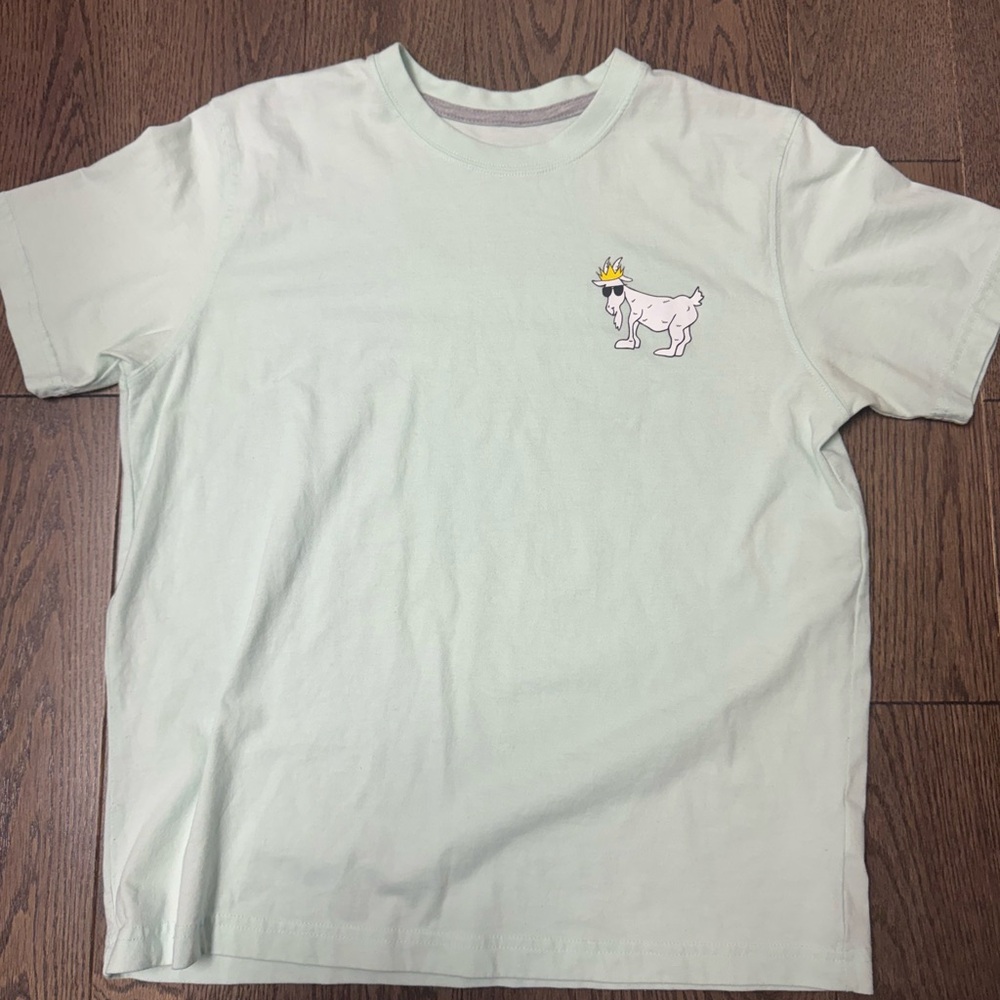 Goat USA Mint graphic Tee size youth L